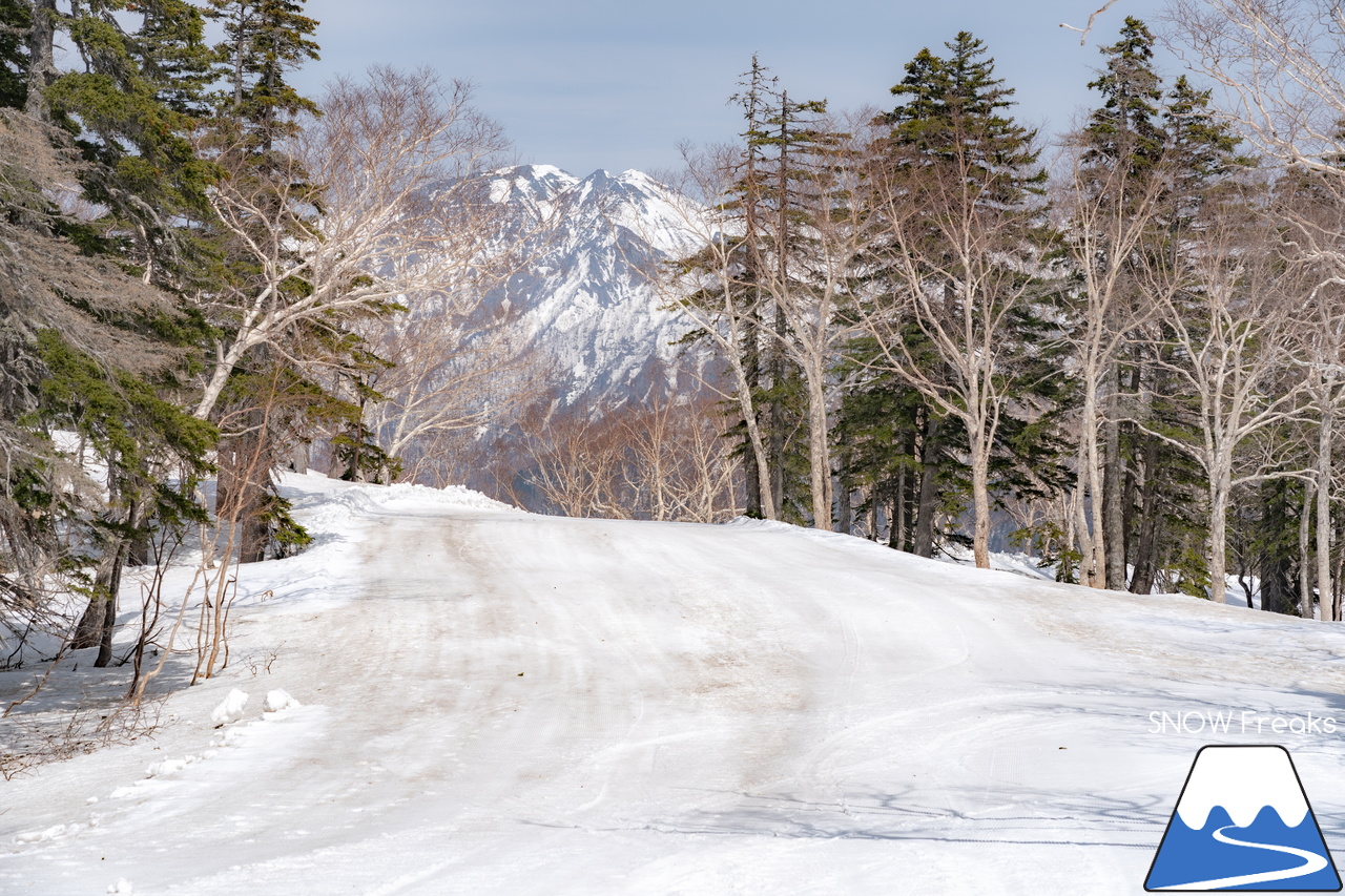 大雪山層雲峡・黒岳ロープウェイスキー場｜驚異の積雪 290cm！コンディション上々な黒岳で、最高に気持ちの良い春スキー＆スノーボードを楽しみましょう♪